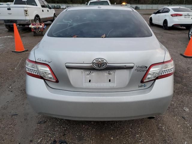 2010 Toyota Camry Hybrid