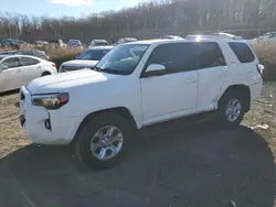 Salvage cars for sale at Baltimore, MD auction: 2017 Toyota 4runner SR5/SR5 Premium