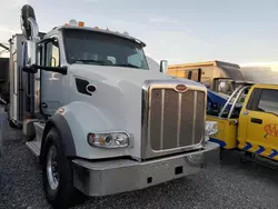 Salvage trucks for sale at North Las Vegas, NV auction: 2025 Peterbilt 567