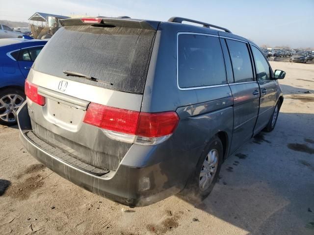 2008 Honda Odyssey EXL