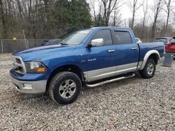 Salvage cars for sale at Northfield, OH auction: 2009 Dodge RAM 1500