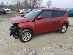 Salvage cars for sale at Cicero, IN auction: 2022 KIA Soul LX