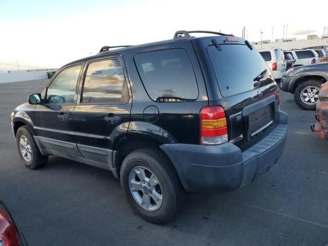 2007 Ford Escape XLT