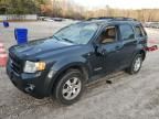 2008 Ford Escape Limited