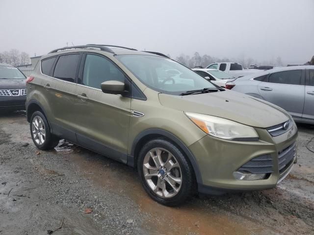 2013 Ford Escape SE