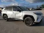 2024 Toyota Rav4 XSE