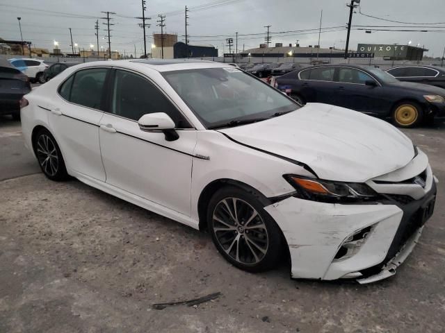 2019 Toyota Camry Hybrid