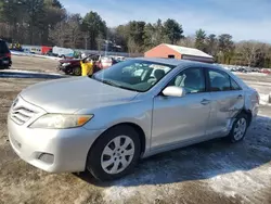 Toyota Camry Base Vehiculos salvage en venta: 2010 Toyota Camry Base