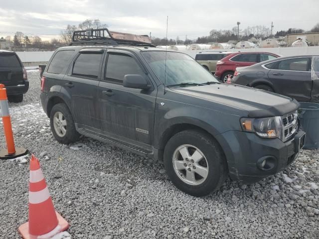 2008 Ford Escape XLT