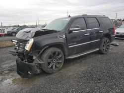 Cadillac salvage cars for sale: 2008 Cadillac Escalade Luxury