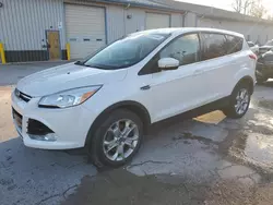 Ford salvage cars for sale: 2013 Ford Escape SEL