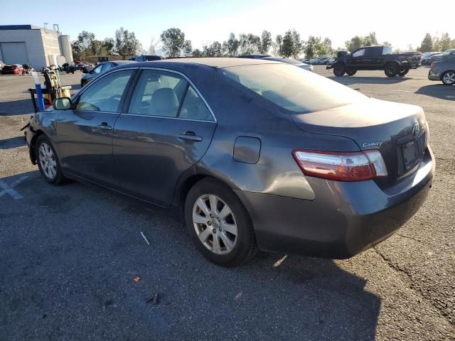 2008 Toyota Camry Hybrid