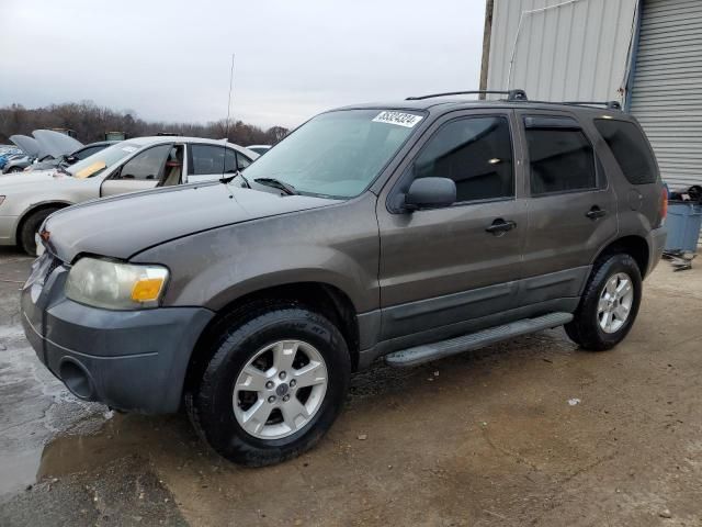 2006 Ford Escape XLT