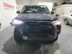 2024 Toyota 4runner SR5/SR5 Premium