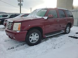 Cadillac salvage cars for sale: 2004 Cadillac Escalade Luxury