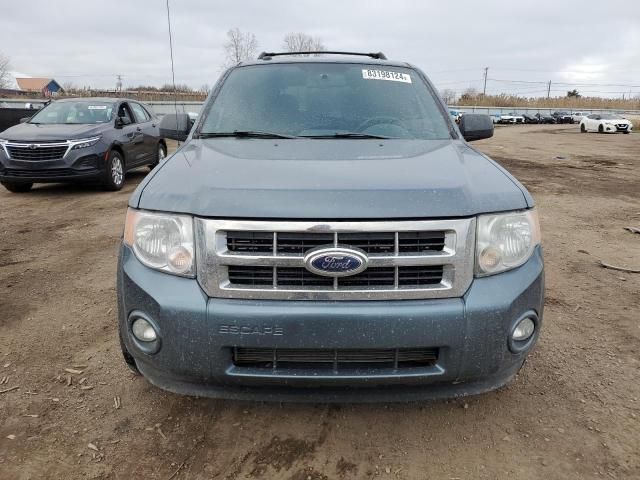 2010 Ford Escape XLT