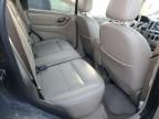 2007 Ford Escape XLT