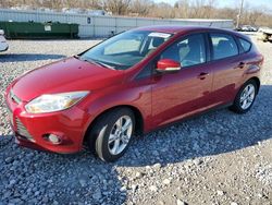 Ford Focus se salvage cars for sale: 2013 Ford Focus SE