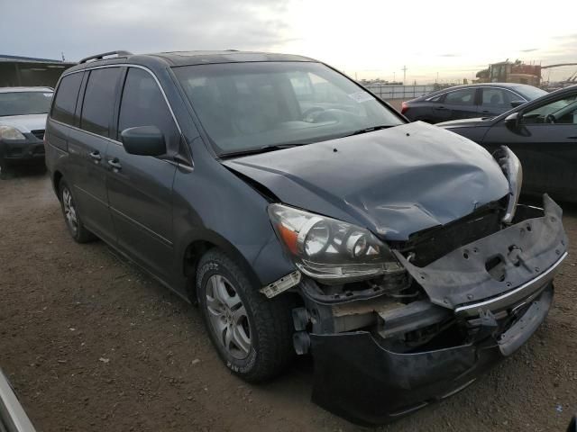 2005 Honda Odyssey EXL