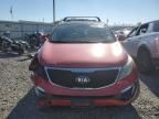 2014 KIA Sportage EX