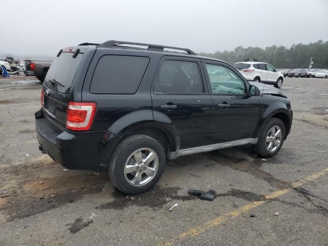 2009 Ford Escape XLT