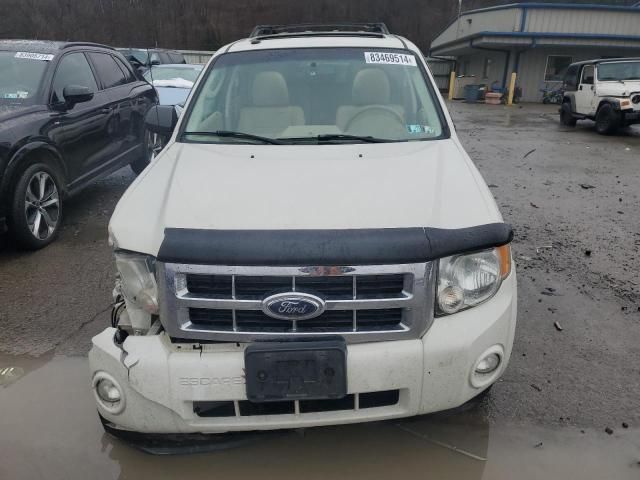 2010 Ford Escape XLT