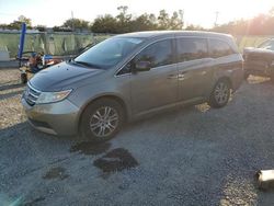 Salvage cars for sale at Riverview, FL auction: 2013 Honda Odyssey EXL