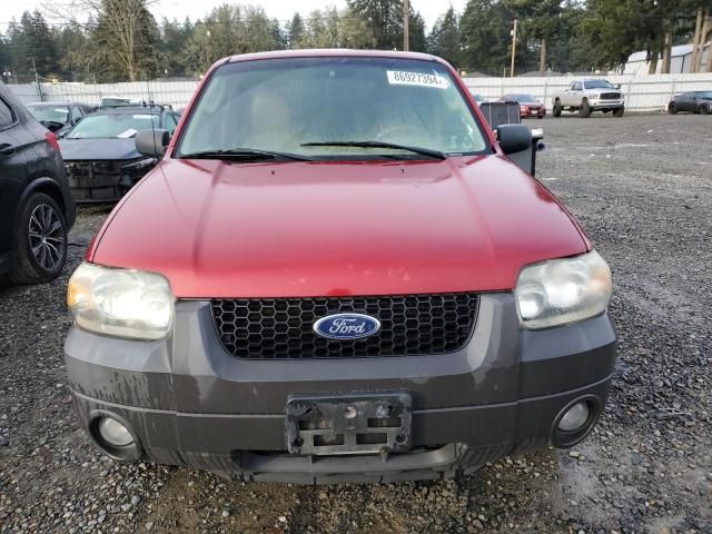 2006 Ford Escape XLT