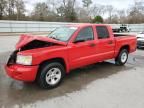 2008 Dodge Dakota Quad SLT