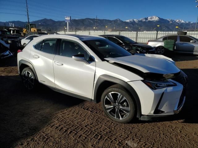 2021 Lexus UX 250H