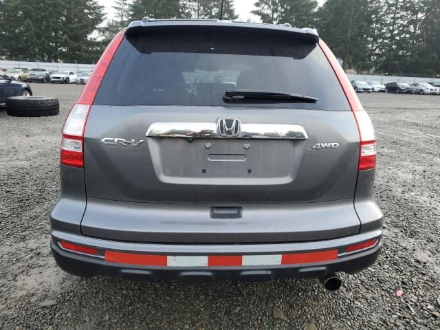 2010 Honda CR-V EXL