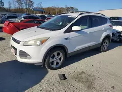 Ford salvage cars for sale: 2013 Ford Escape SE