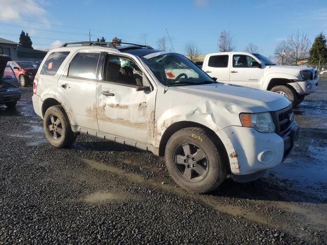 2011 Ford Escape XLT