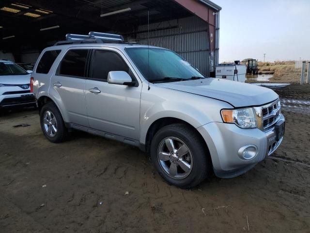 2011 Ford Escape Limited