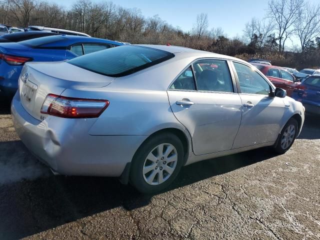 2009 Toyota Camry Hybrid