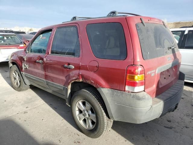 2005 Ford Escape XLT