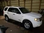 2008 Ford Escape HEV