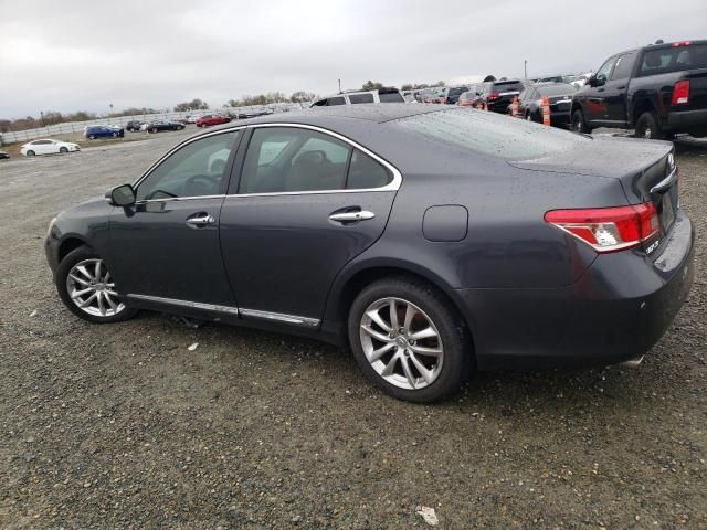 2010 Lexus ES 350