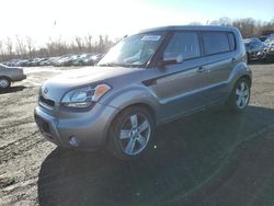 Salvage cars for sale at New Britain, CT auction: 2011 KIA Soul +