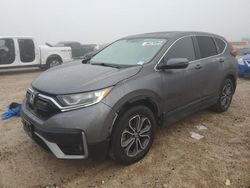 Salvage cars for sale at Houston, TX auction: 2022 Honda CR-V EXL