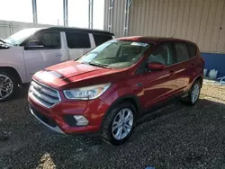 Ford Vehiculos salvage en venta: 2019 Ford Escape SE