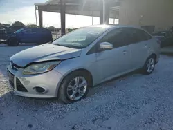 Salvage cars for sale at Homestead, FL auction: 2013 Ford Focus SE