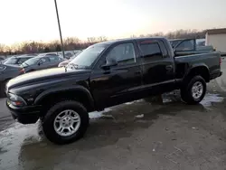 Salvage SUVs for sale at auction: 2002 Dodge Dakota Quad Sport