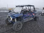 2021 Polaris RZR XP 4 1000 Premium