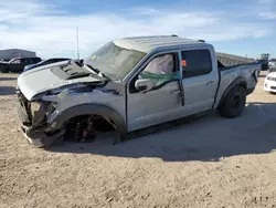 Salvage cars for sale from Copart Amarillo, TX: 2023 Ford F150 Raptor