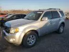 2010 Ford Escape Limited