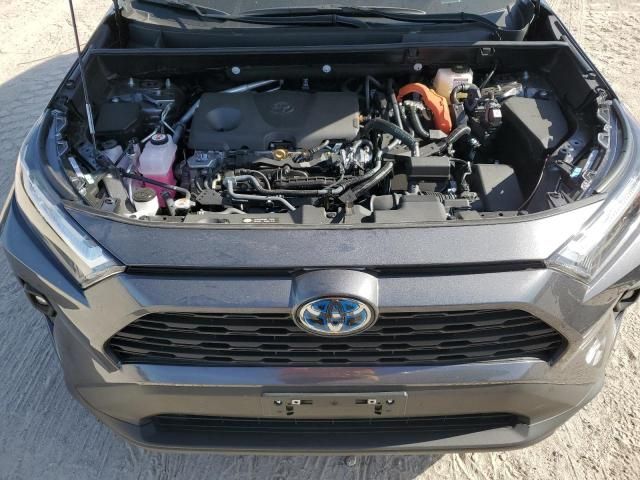 2024 Toyota Rav4 XLE Premium