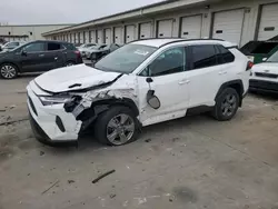 Salvage cars for sale at Louisville, KY auction: 2023 Toyota Rav4 XLE