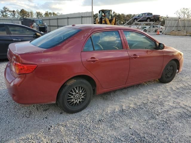 2009 Toyota Corolla Base