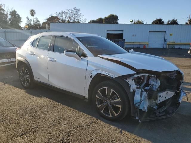 2019 Lexus UX 250H